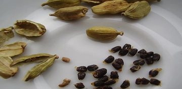 Kakule Tohumu Türleri ve Özellikleri